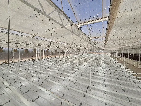 Screening system installation